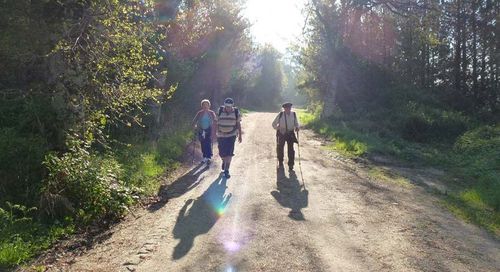 Experiencias vividas en los Caminos a Santiago